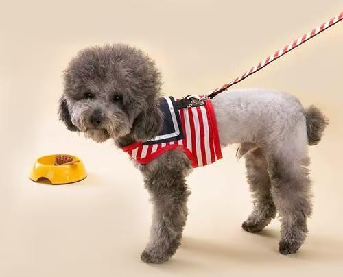 dog leash