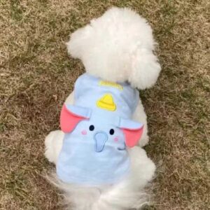 dog clothes