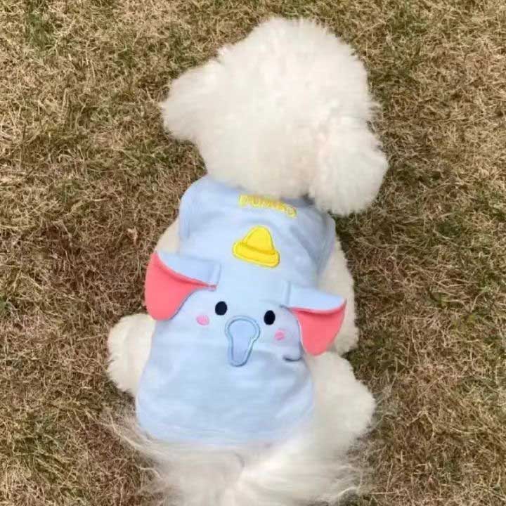 dog clothes