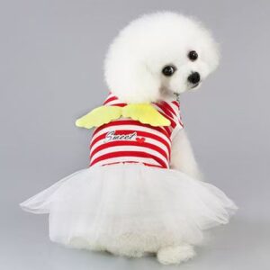 dog clothes