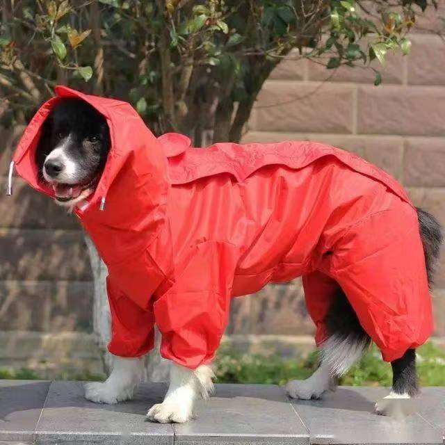 dog clothing