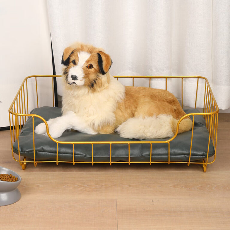 dog bed